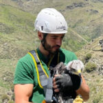 Foto del perfil de Miguel Mercado